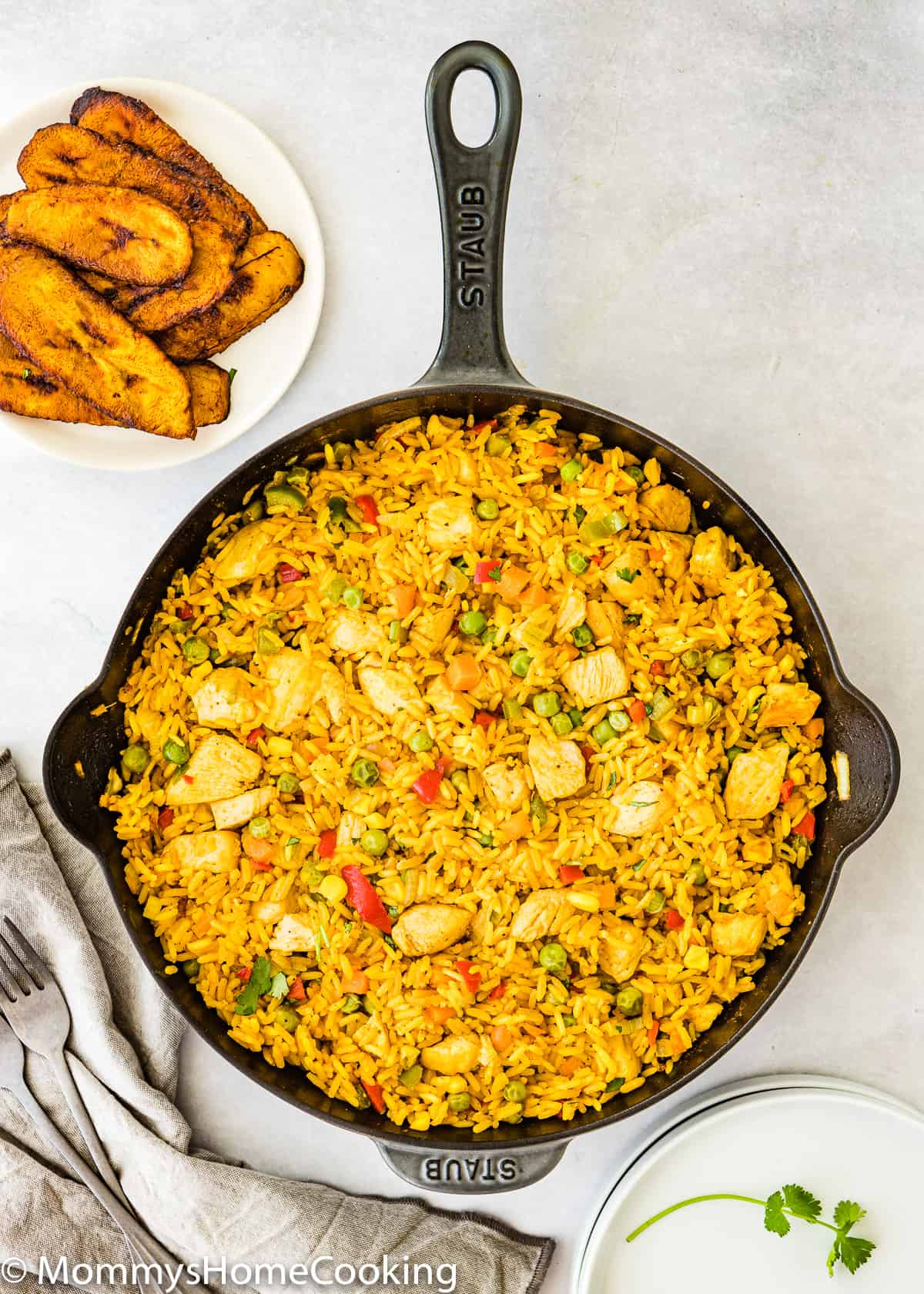 spanish chicken with rice arroz con pollo - Article 1